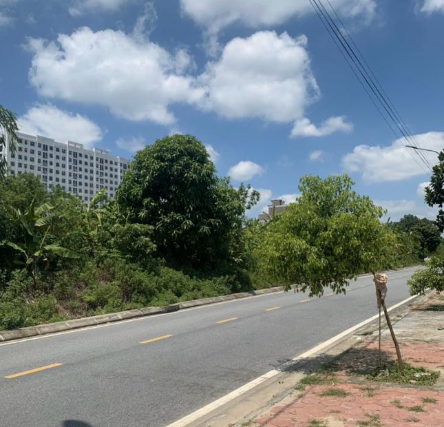  Bán đất MP Hòa Bình, TP HD, 195.6m2, mt 6.62m, hướng Nam, đường to rộng, gần Big C
