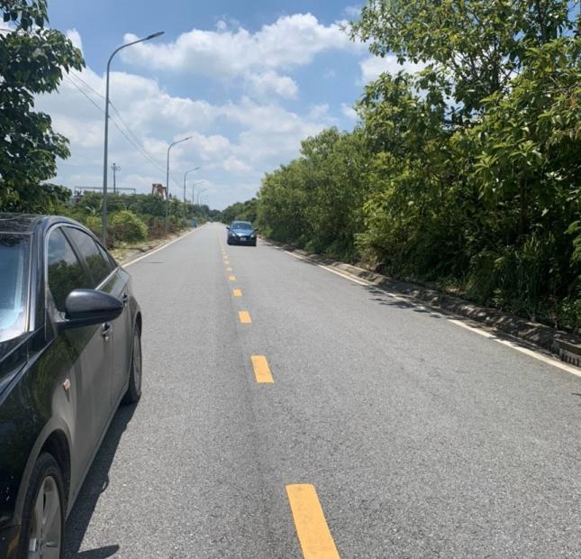  Bán đất MP Hòa Bình, TP HD, 195.6m2, mt 6.62m, hướng Nam, đường to rộng, gần Big C