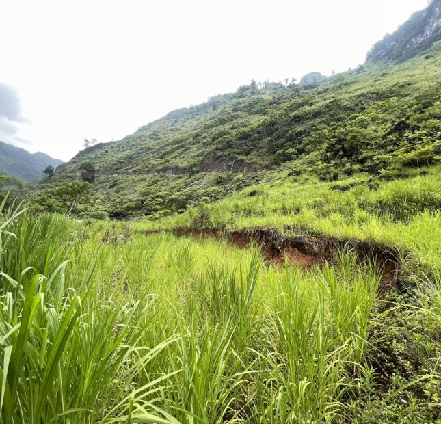 BÁN ĐẤT HÀ GIANG GIÁ RẺ MẶT QUỐC LỘ 4C VIEW CỰC ĐẸP