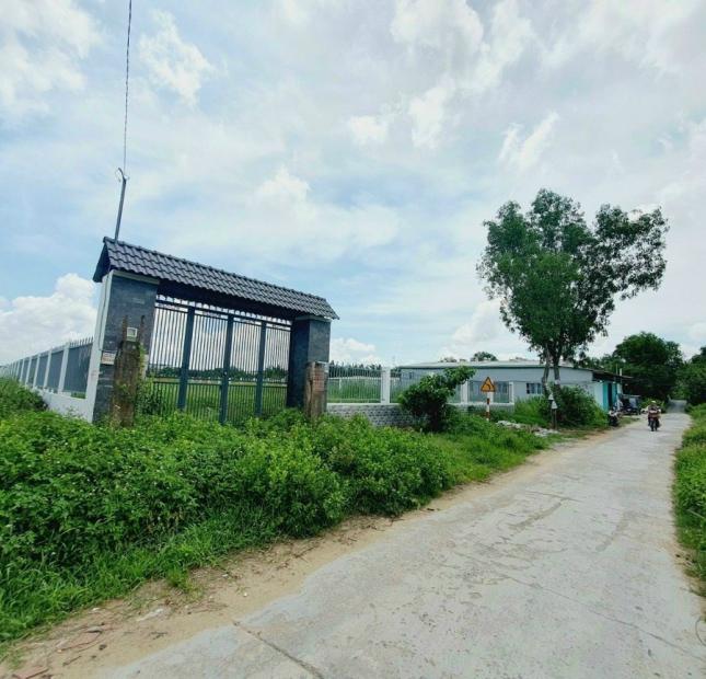 Cần bán 1300m2 đất có thổ cư thích hợp xây biệt thự sân vườn đường Ngô Quang Thắm, Nhà Bè