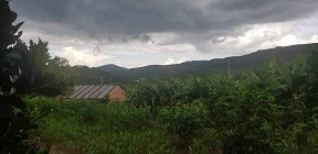 CHÍNH CHỦ BÁN VƯỜN NHÀ TẠI TÂN PHÚ 2, XÃ ĐINH LẠC, DI LINH, LÂM ĐỒNG.