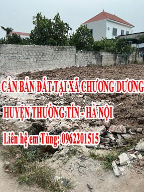 Chính chủ cần bán đất tại Xã Chương Dương, Huyện Thường Tín