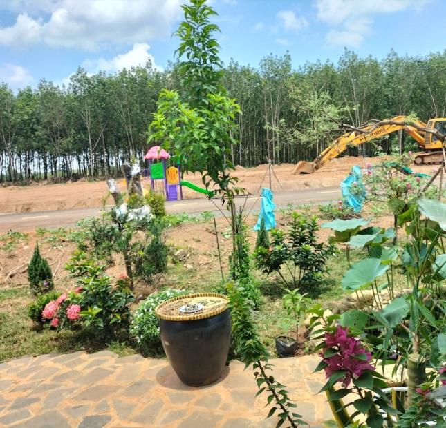  Chính chủ cần bán lô đất ngày QL14, SHR, thổ cư 100, công chứng trong tuần 