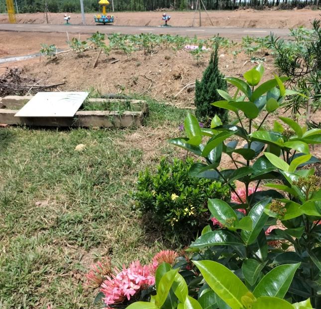  Chính chủ cần bán lô đất ngày QL14, SHR, thổ cư 100, công chứng trong tuần 