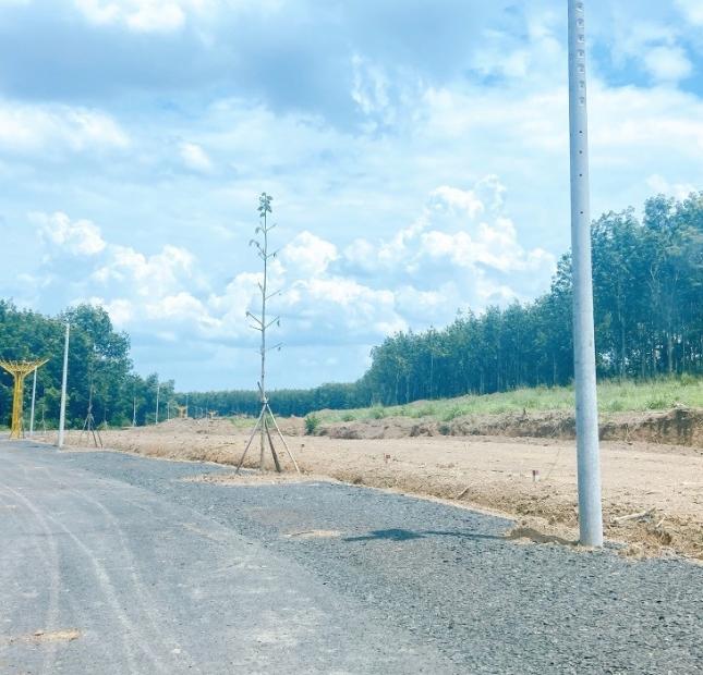  Chính chủ cần bán lô đất ngày QL14, SHR, thổ cư 100, công chứng trong tuần 