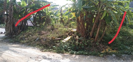 Chính chủ bán đất tại Tổ 7, Thị Trấn Việt Quang, Huyện Bắc Quang, Tỉnh Hà Giang
