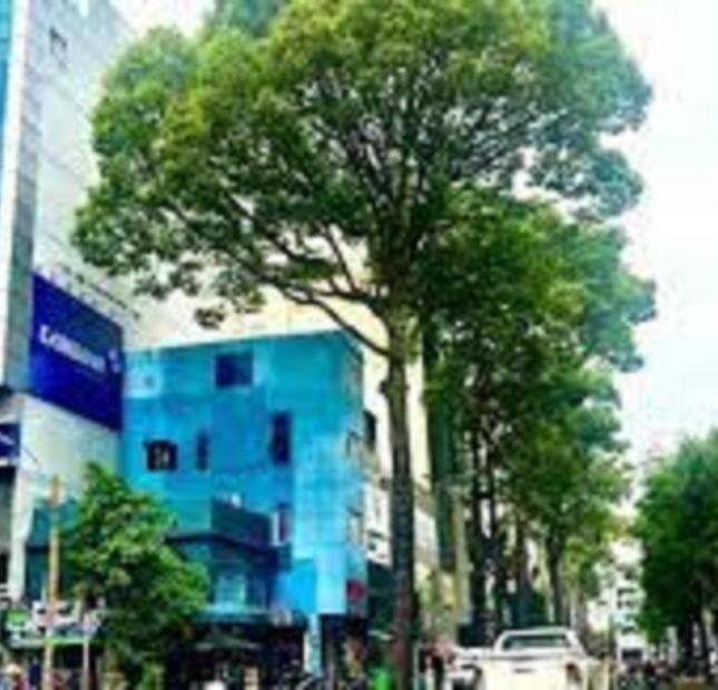 Bán nhà MT Đường Hai Bà Trưng, P. Bến Nghé, Quận 1, TP.HCM