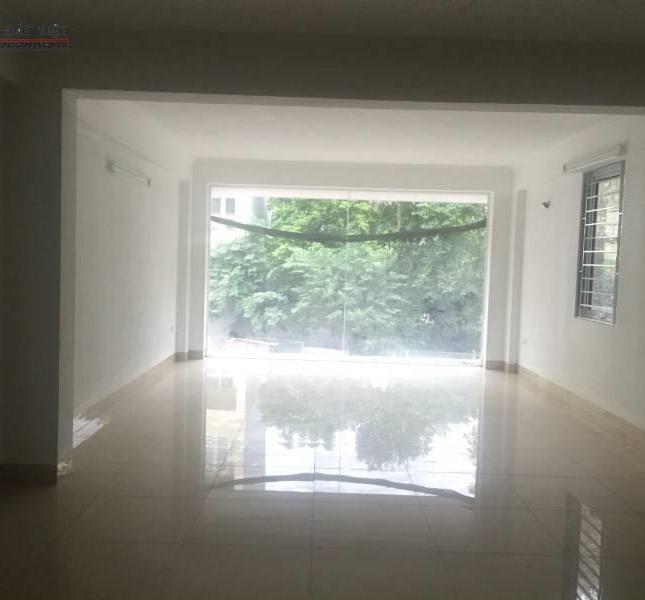 CHO THUÊ NHÀ MP TRUNG PHỤNG - ĐỐNG ĐA