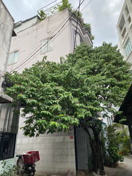 Bán nhà đường Ô TÔ,4 tầng,Phan Văn Trị,p5,Gò Vấp,chỉ nhỉnh 5 tỷ