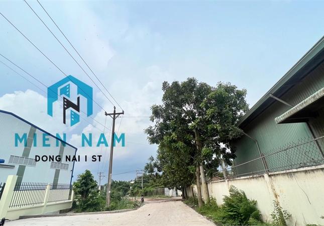 cho thuê nhà xưởng cụm công nghiệp hố nai 3, nhà xưởng mới chưa qua sử dụng