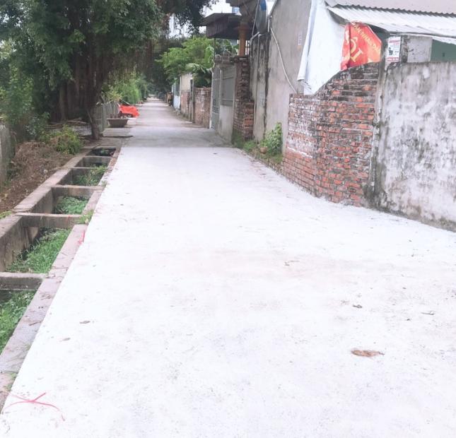 Đất khoáng nóng Thanh Thủy giá hạt rẻ cách Đảo Xanh và Wuydham chỉ vài trăm mét 