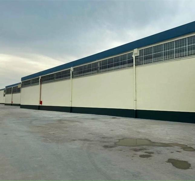 cho thuê nhà xưởng đẹp diện tích 14000m2  đầy đủ PCCC trong và ngoài  tại Vụ Bản- Nam Định