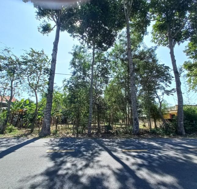 Bán Đất 2 Mặt Tiền Đường Nhựa 1500m2 Bùi Thị Điệt, Xã Phạm Văn Cội, Huyện Củ Chi.