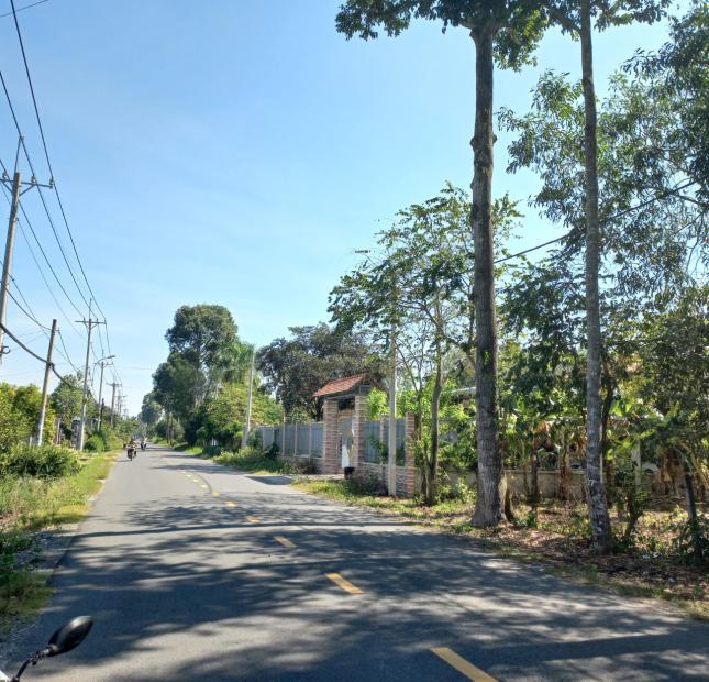 Bán Đất 2 Mặt Tiền Đường Nhựa 1500m2 Bùi Thị Điệt, Xã Phạm Văn Cội, Huyện Củ Chi.