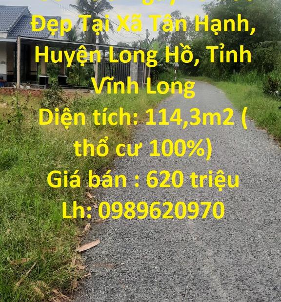 Sở Hữu Ngay Lô Đất Đẹp Tại Xã Tân Hạnh, Huyện Long Hồ, Tỉnh Vĩnh Long