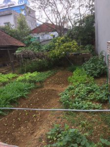 Chính chủ cần bán nhà đất mặt tiền vị trí đẹp tại tỉnh Lai Châu