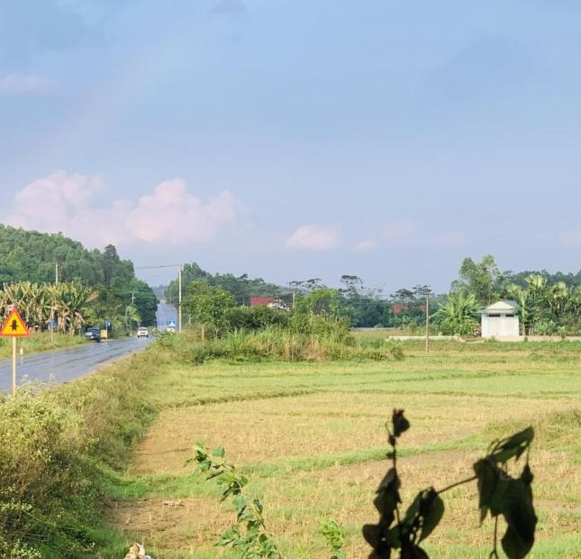 Bán đất thổ cư Khu 12 Tu Vũ - Thanh Thủy – Phú Thọ. Giá F0 nhỉnh 1tr/m2.