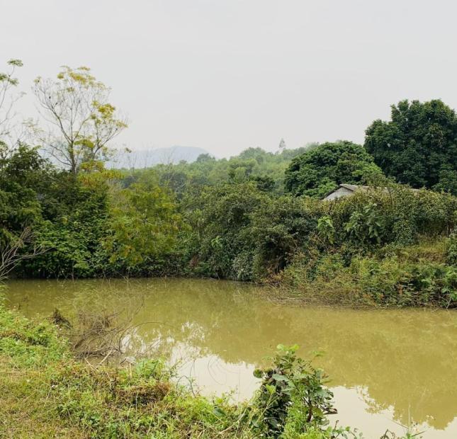 Bán đất thổ cư Khu 12 Tu Vũ - Thanh Thủy – Phú Thọ. Giá F0 nhỉnh 1tr/m2.