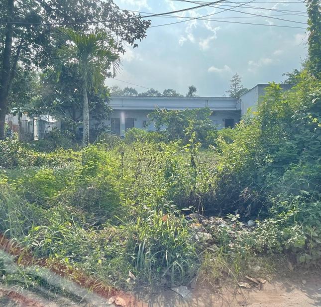 BÁN GẤP đất mặt tiền Lê Hồng Phong, phường 8, TP Trà Vinh