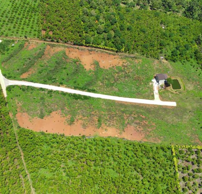 Đất vườn cảnh đồi đẹp xã Lộc Nga, tp Bảo Lộc giá 1 ty / 1 sào