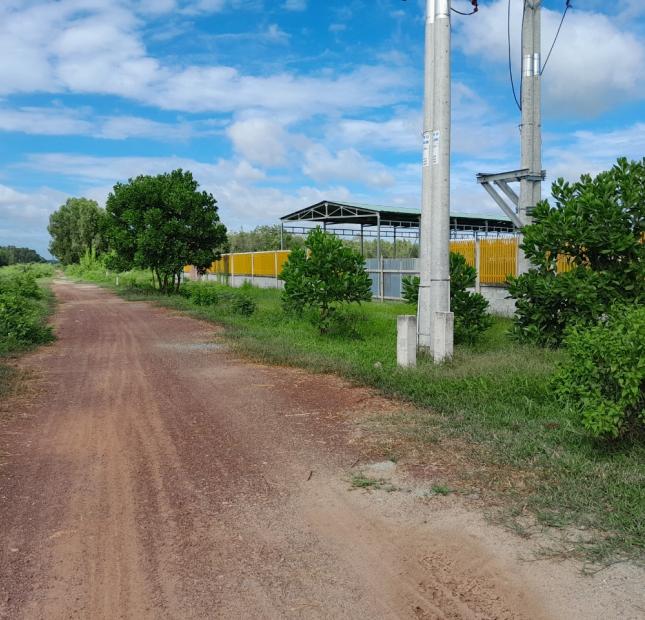 Bán đất 2400m2 mặt tiền kênh 17 ấp Mỹ  Khánh A xã Thái Mỹ huyện Củ Chi, TP. HCM.