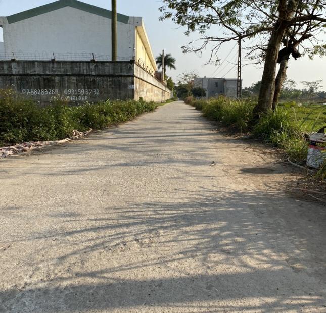 CẦN BÁN lô đất đẹp tại Quỳnh Hoàng Nam Sơn An Dương Hải Phòng Diện tích 105m