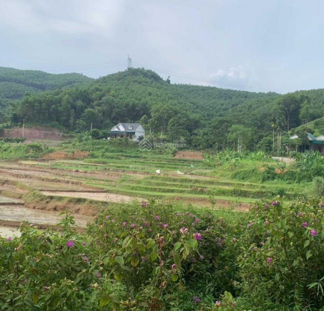 Bán nhanh lô đất huyện Tân Lạc - Hòa Bình - Thích hợp đầu tư - LH tư vấn: 0913 296 825.
