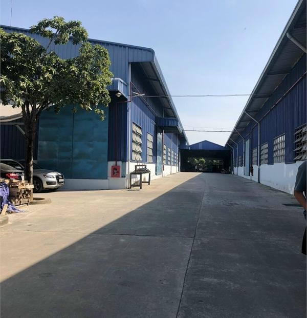 cho thuê nhà xưởng dt 25000m2. (25mx100m). Cao hơn 8m