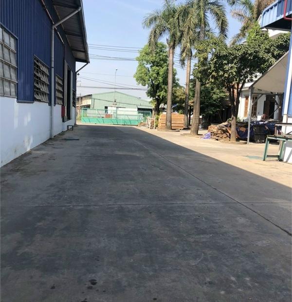 cho thuê nhà xưởng dt 25000m2. (25mx100m). Cao hơn 8m