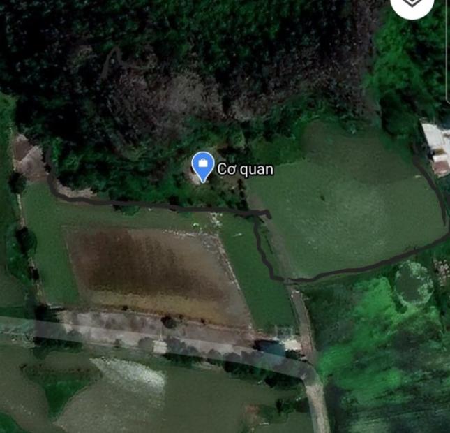Cần bán đất Ninh Xuân - nhất cận thị, nhị cận giang, tam cận lộ. vị trí vô cùng đẹp.