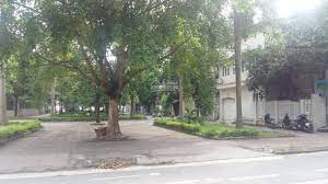 bán 242m2 đât đấu giá D3 Vườn Đào,Tây Hồ, căn góc giá 71,8 tỷ