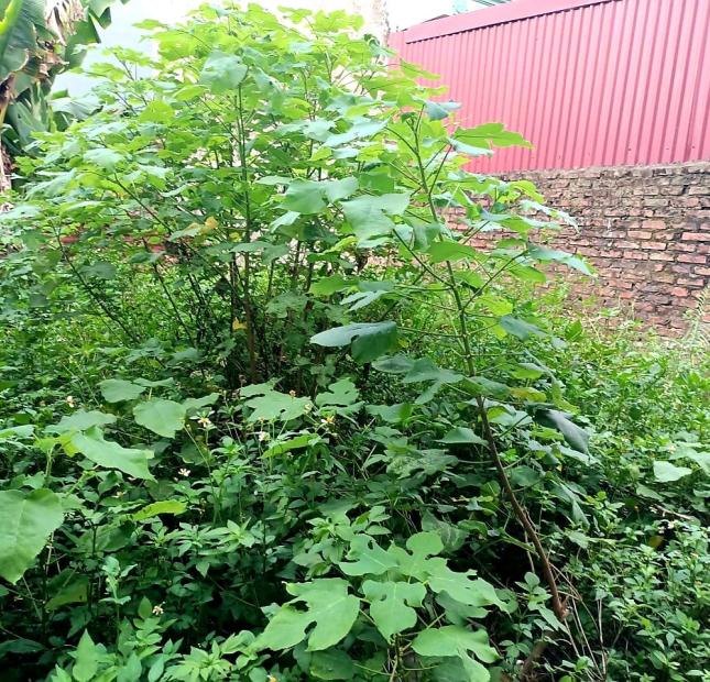 Bán mảnh đất Yên Ngưu, tam hiệp, thanh trì 55m2, 4m mt, ôtô đỗ cửa, lô góc, chỉ hơn 2 tỷ.