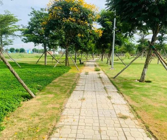 Khu Dịch Vụ Hỗn Hợp Vsip Quảng Ngãi Gía Chỉ 1Tyxx Diện Tích 132m2 Qúa Hót Ạ