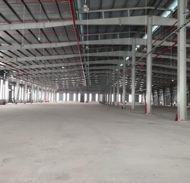 Cho Thuê nhà xưởng sẵn trong KCN Đình Vũ - Cảng Hải Phòng
