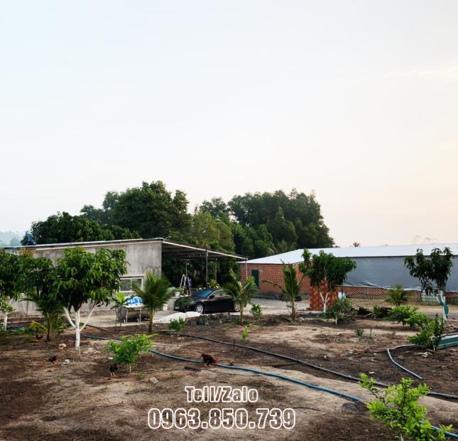 Cần bán 13.623 m² Đất CLN+ONT|| Xuân Lộc - Đồng Nai||Giá chỉ 570tr/1000 m²