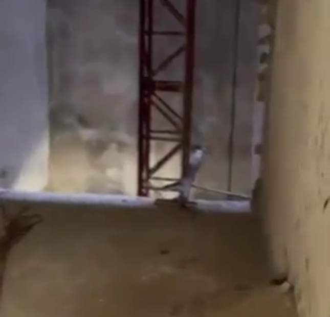 Siêu phẩm mặt phố hoà mã nhà 8 tầng mới thang máy hai bà trưng
