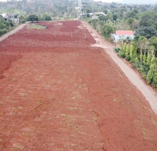 Siêu phẩm Khe Sanh - Đà Lạt Miền Trung