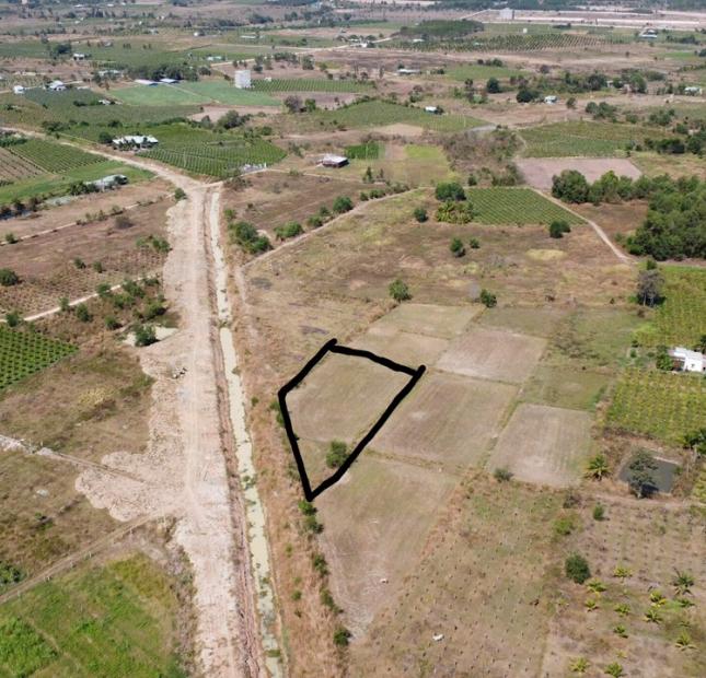2s3 đất lúa giá ngộp cho anh chị đầu tư