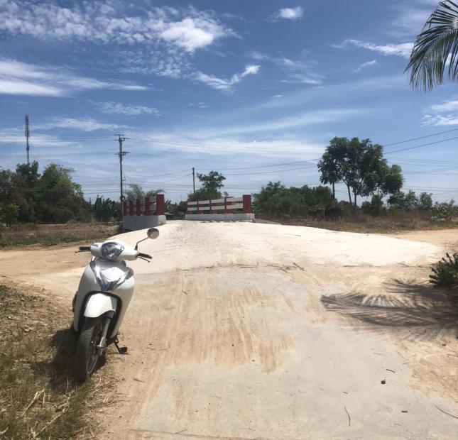 2s3 đất lúa giá ngộp cho anh chị đầu tư