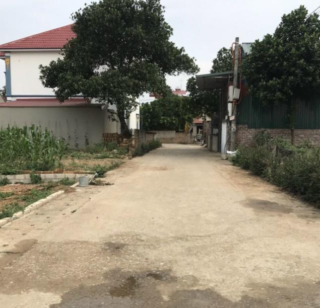 BÁN 555M ĐÁT ĐƯỜNG THÔNG THÔN 8 TÂN XÃ XÂY TRỌ ĐẸP