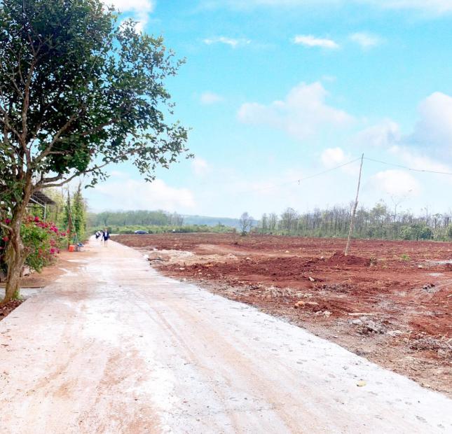 Bán đất tại Đường Hùng Vương, Hướng Hóa,  Quảng Trị diện tích 150m2
