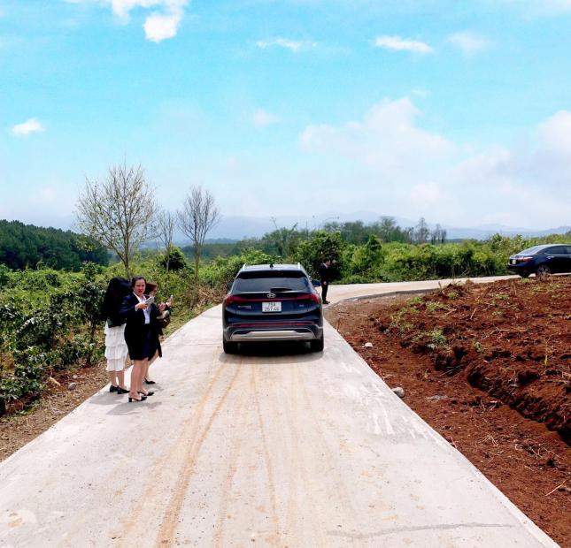 Bán đất tại Đường Hùng Vương, Hướng Hóa,  Quảng Trị diện tích 150m2