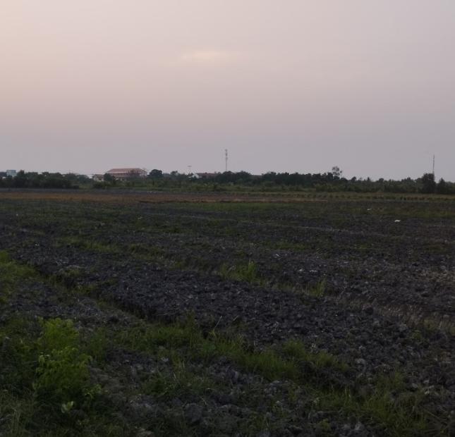 Gần 3 mẫu đất trồng cây hàng năm xã Lương Hòa, Bến Lức, Long An giá 36 tỷ