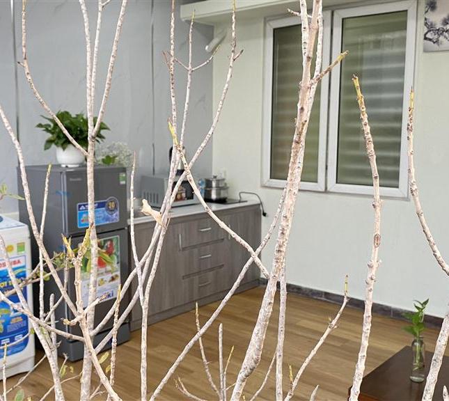 Căn hộ Dịch Vụ Cao cấp XVNT đoạn 2 chiều full nội thất