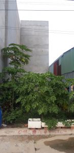Cần Bán Lô Đất Vị Trí Đẹp Tại Tp Thủ Đức, Hồ Chí Minh