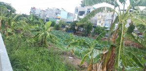 Cần Bán Lô Đất Vị Trí Đẹp Tại Tp Thủ Đức, Hồ Chí Minh