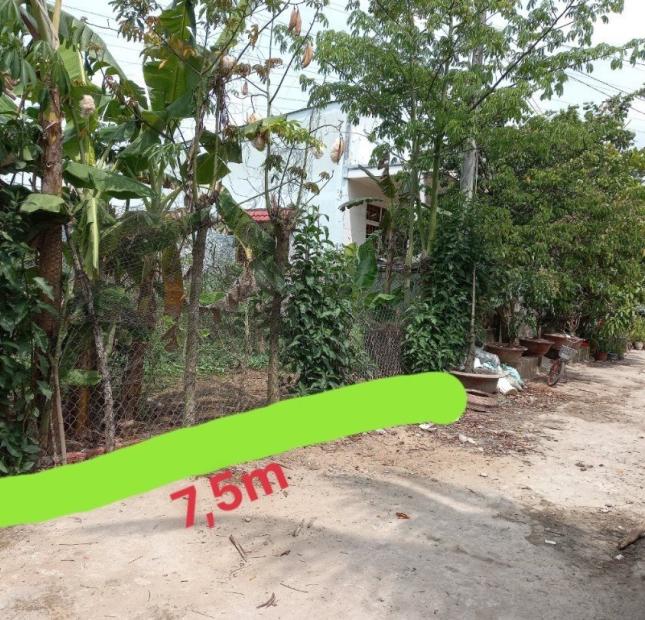 Chính Chủ Cần Bán Lô Đất Vị Trí Đẹp Tại Quận Cái Răng, TP Cần Thơ