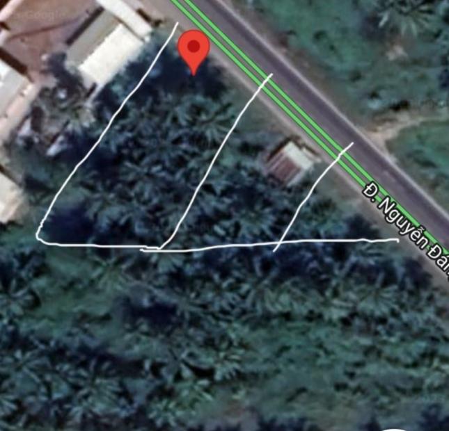 Chính Chủ Cần Bán Lô Đất Cây Lâu Năm Vị Trí Đẹp Tại Trà Vinh