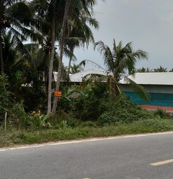 Chính Chủ Cần Bán Lô Đất Cây Lâu Năm Vị Trí Đẹp Tại Trà Vinh