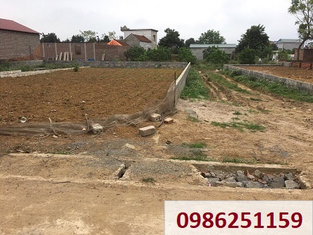 ⭐️Chính chủ tôi cần bán 2 lô đất 100% đất ở, nhìn sang Nhà máy in tiền Quốc gia tại thôn 5 Phú Cát, Quốc Oai, 19tr/m2; 0986251159